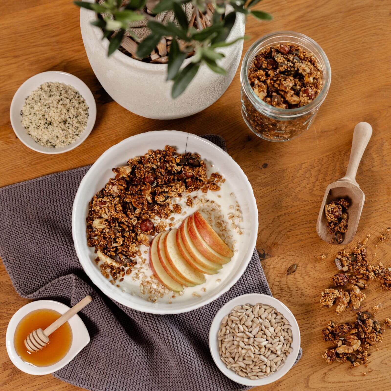 Bio-Sonnenblumenkerne geschält